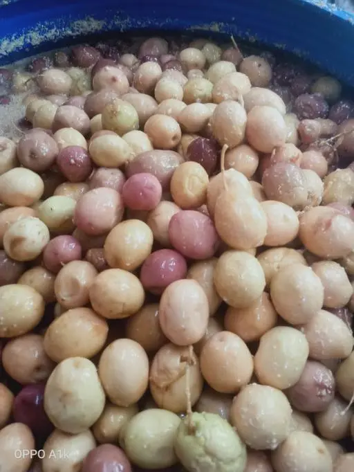 زيتون عزيزي1 kg