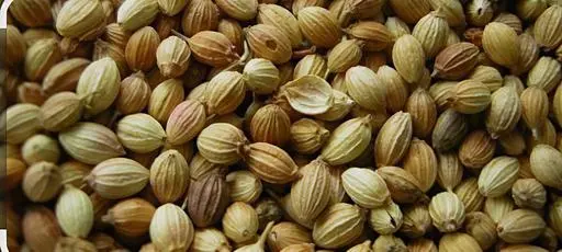 كسبره بلدي ¼