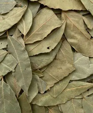 ورق لوري 100جم