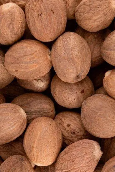 جوزه الطيب بالوحده