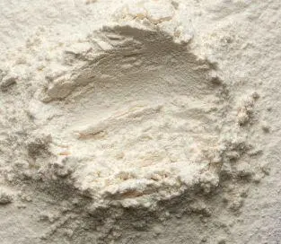 بشامل بالجبنه¼