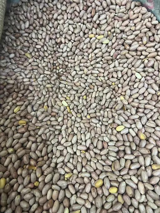 سوداني اسواني ¼ - مطروح(محمصه نصر) - صورة المنتج الرئيسية